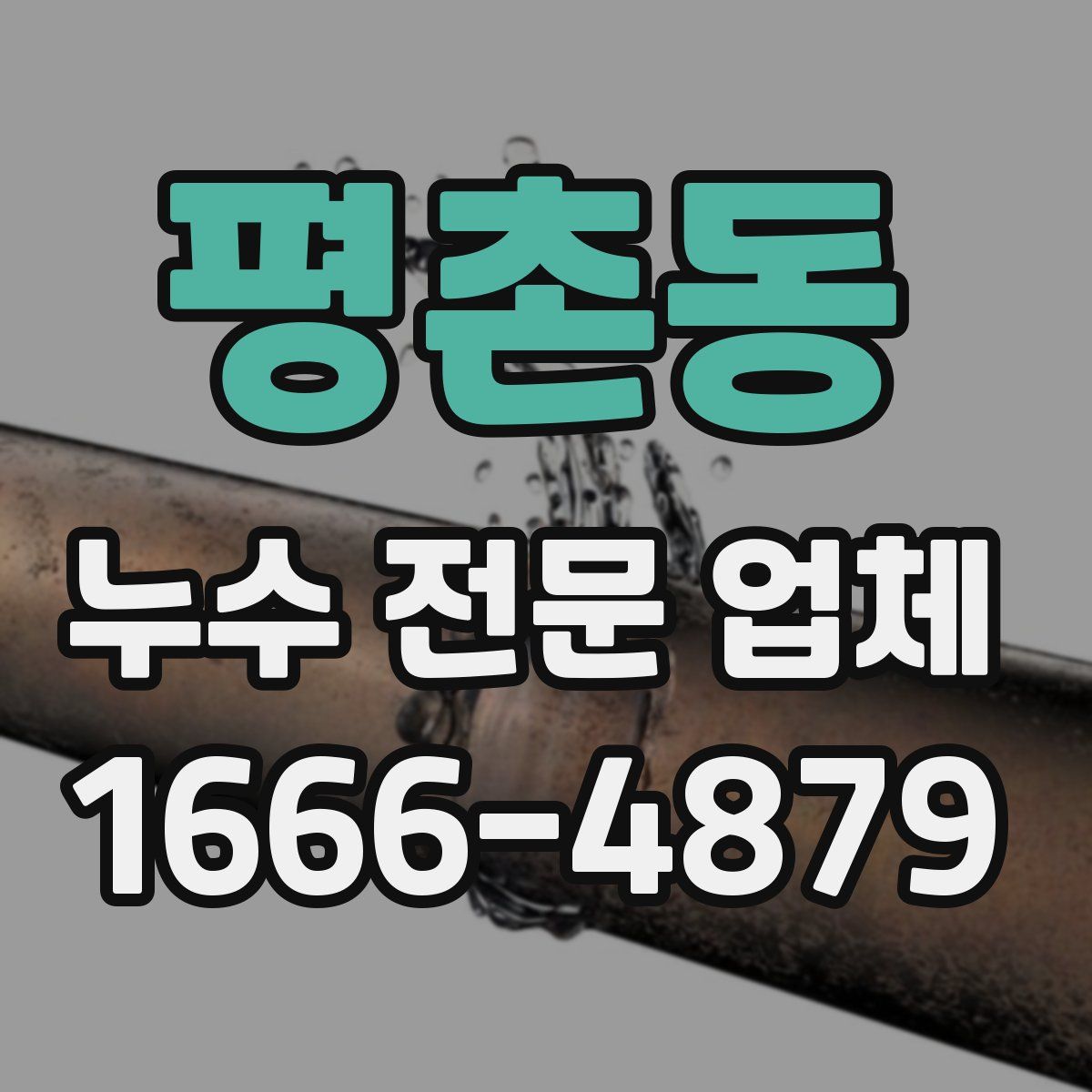 평촌동 누수 전문 업체