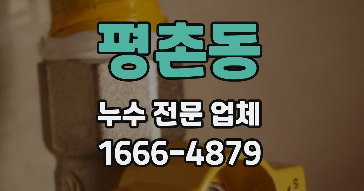 평촌동 누수 전문 업체