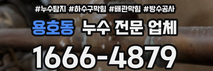용호동 누수 전문 업체