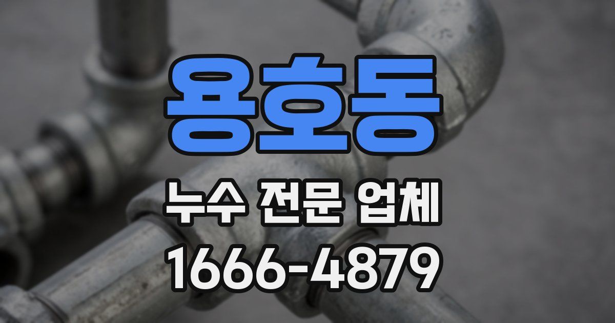 용호동 누수 전문 업체