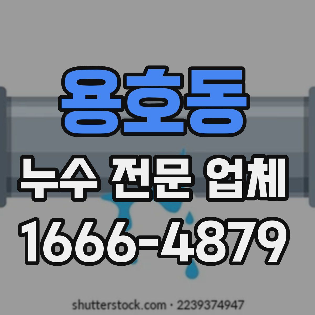 용호동 누수 전문 업체
