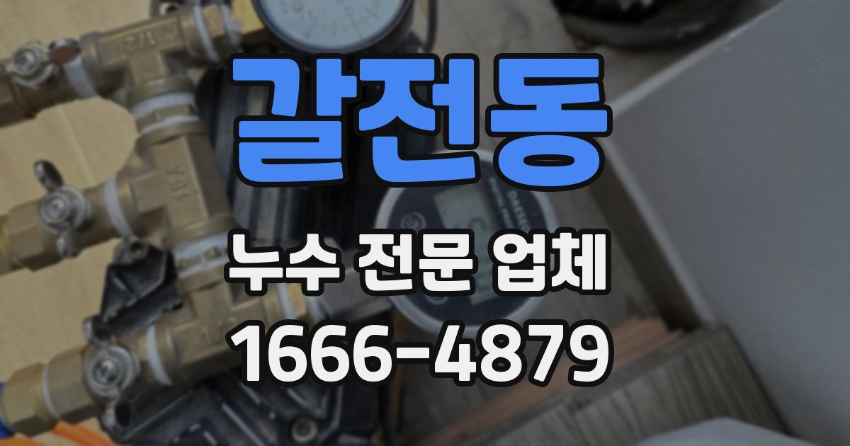 갈전동 누수 전문 업체