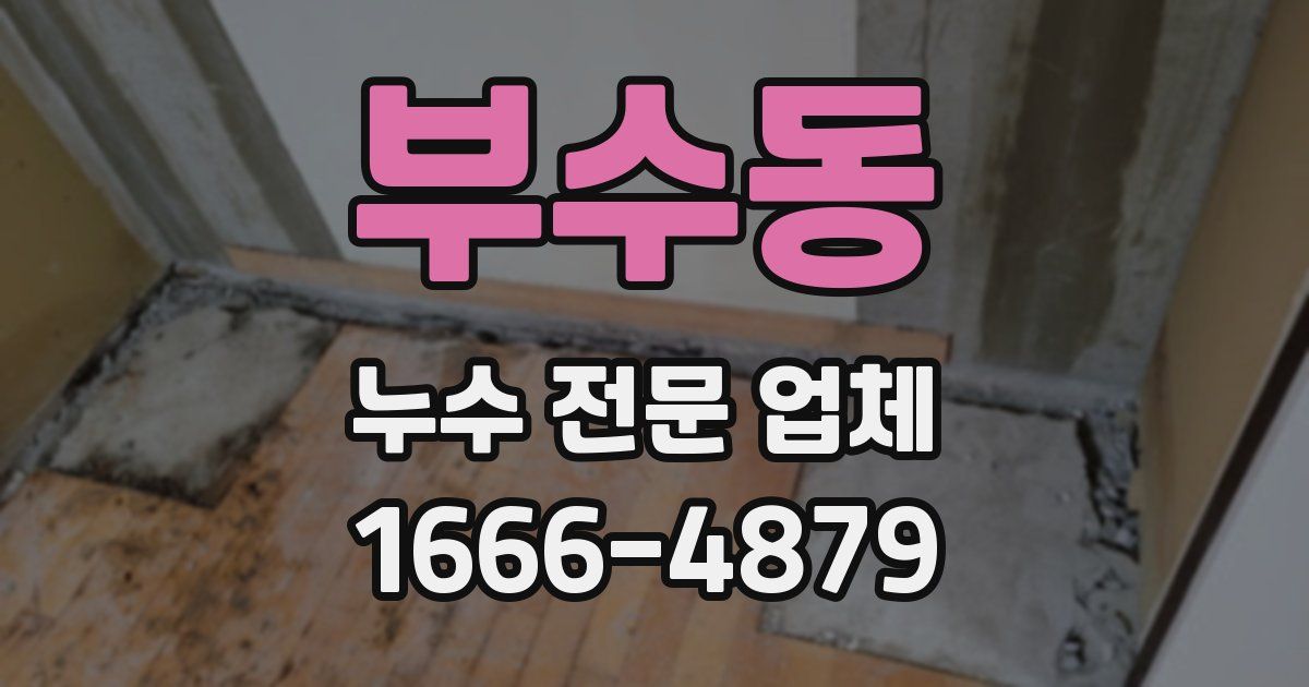 부수동 누수 전문 업체