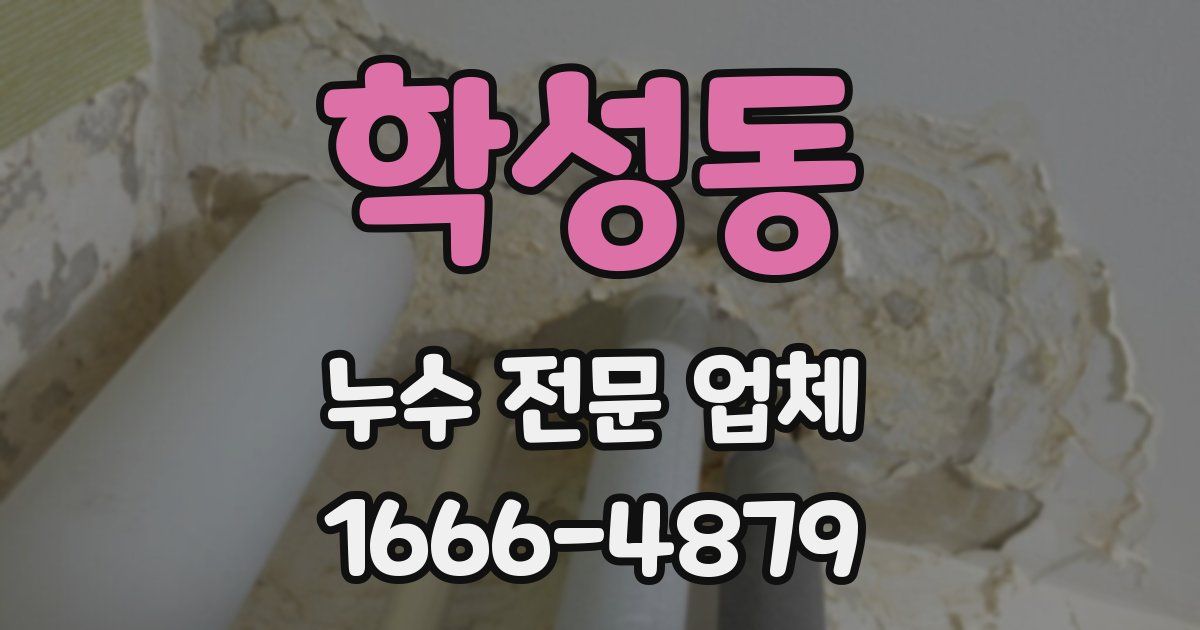 학성동 누수 전문 업체