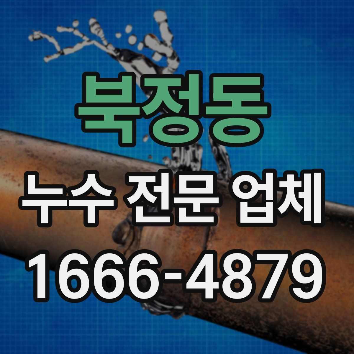 북정동 누수 전문 업체