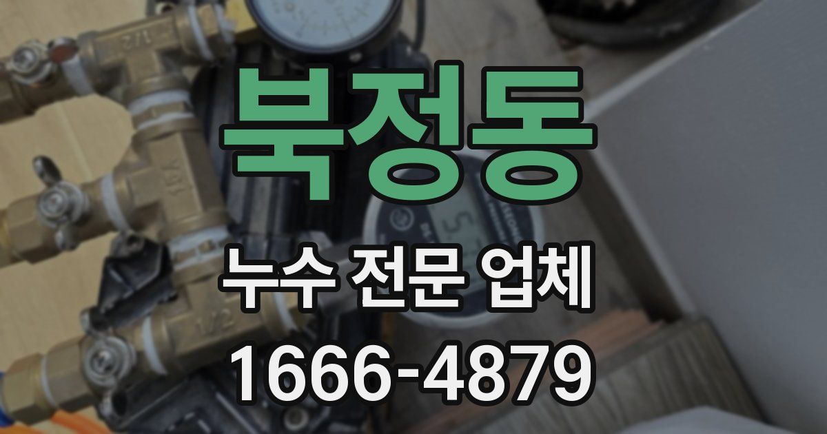 북정동 누수 전문 업체