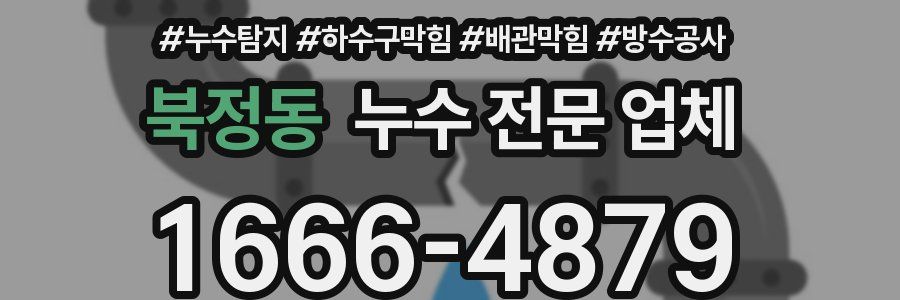 북정동 누수 전문 업체