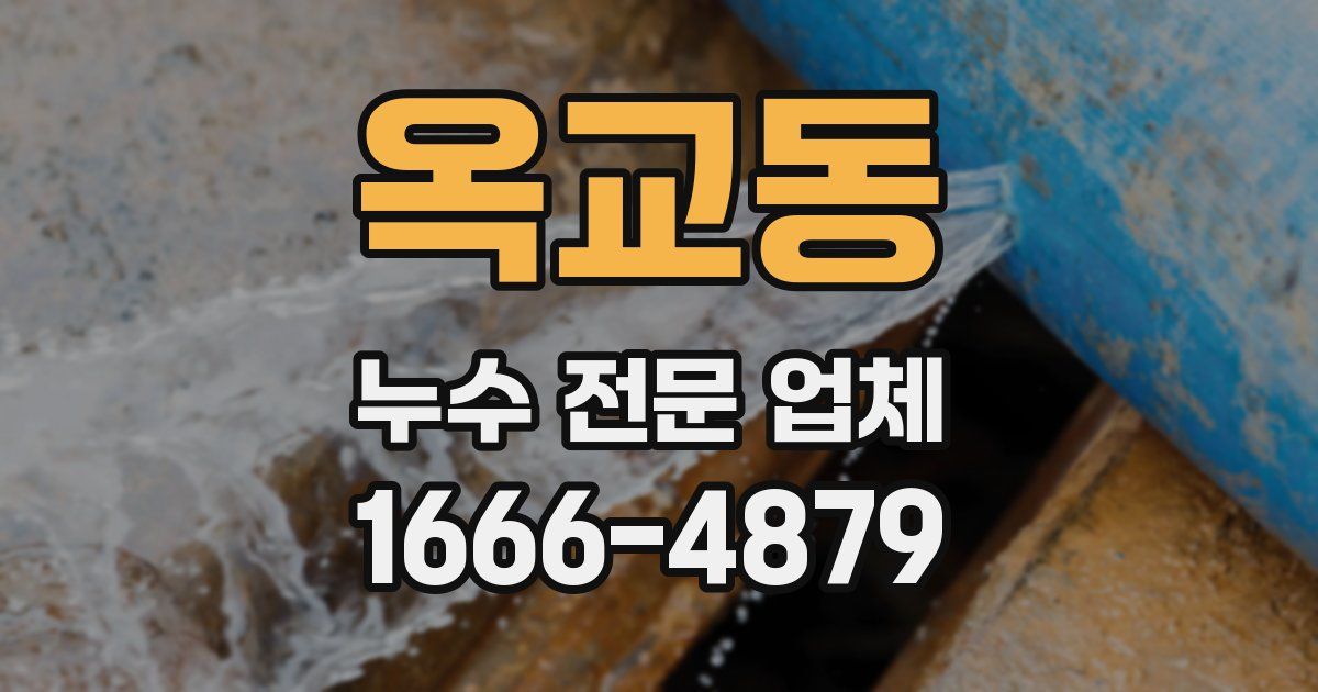 옥교동 누수 전문 업체