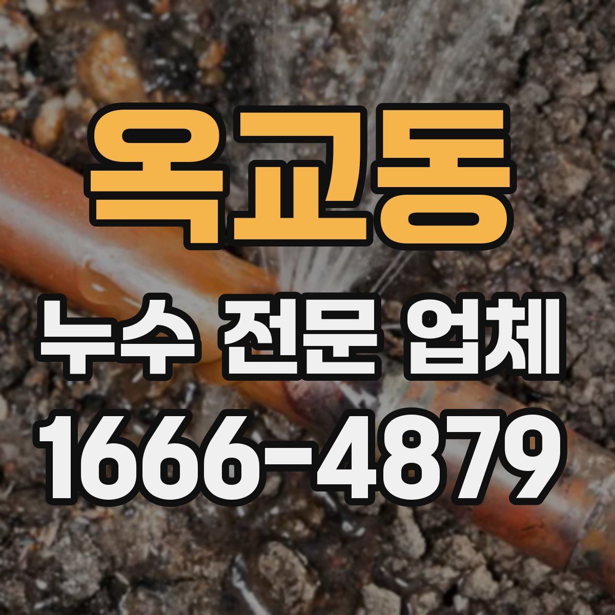 옥교동 누수 전문 업체