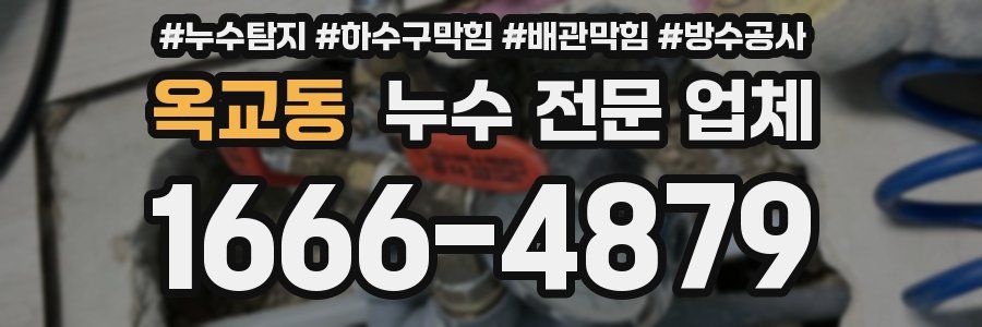 옥교동 누수 전문 업체