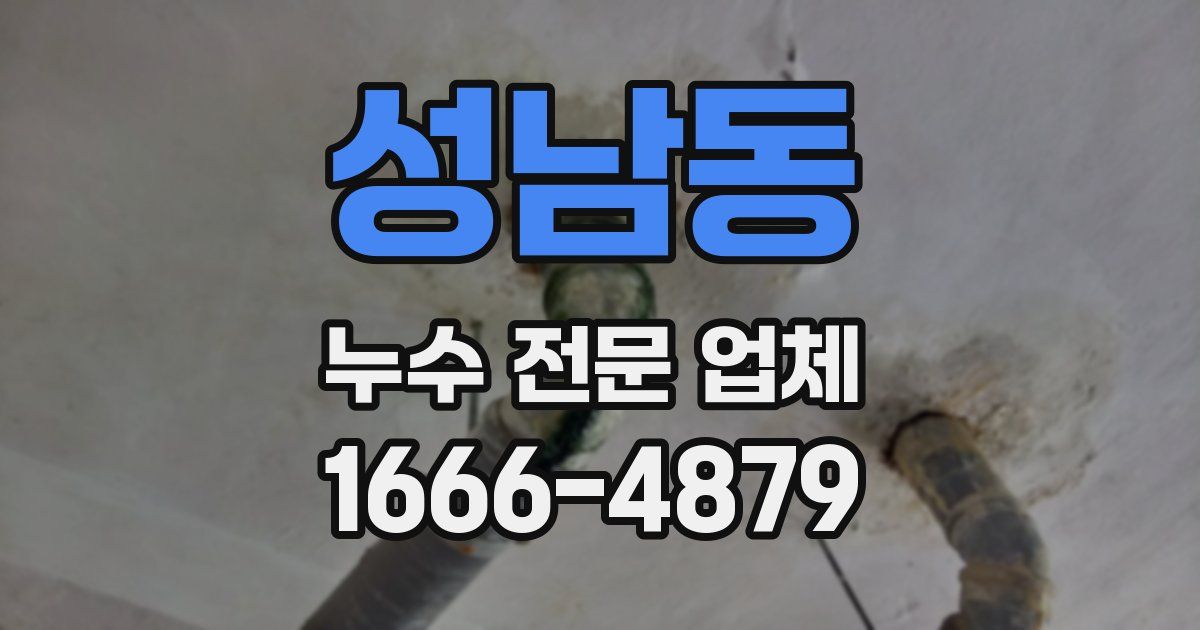 성남동 누수 전문 업체