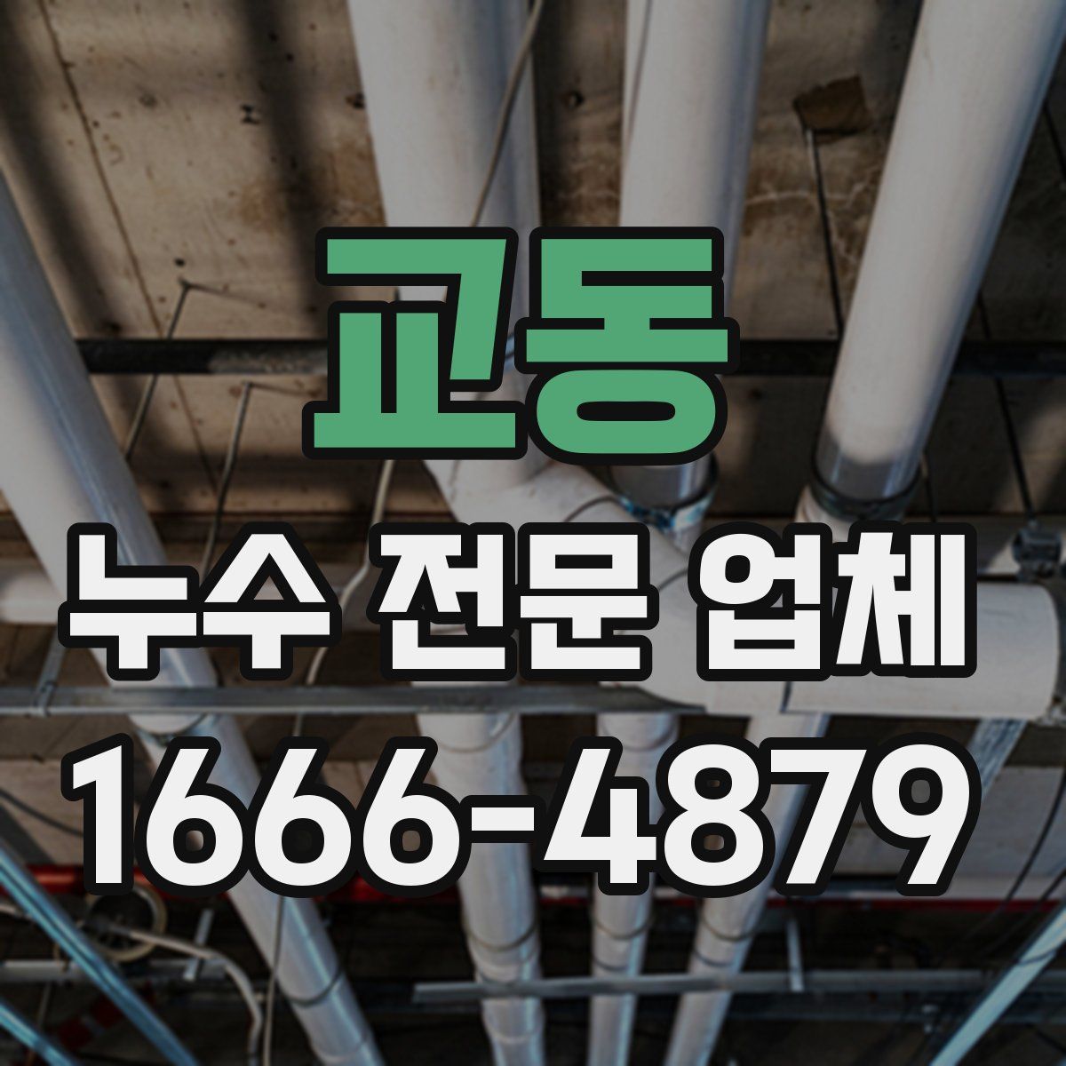 교동 누수 전문 업체