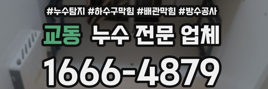 교동 누수 전문 업체