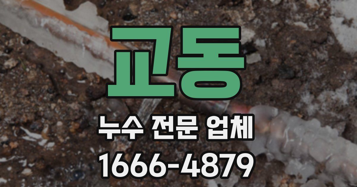 교동 누수 전문 업체