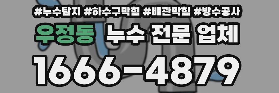 우정동 누수 전문 업체