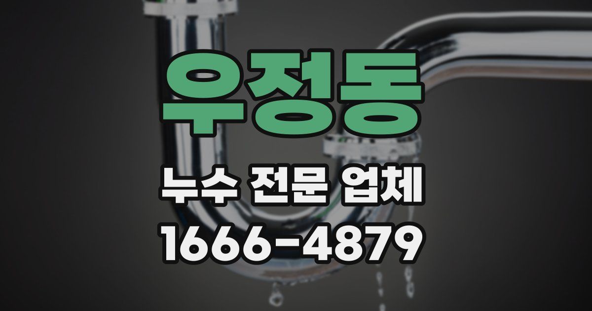 우정동 누수 전문 업체