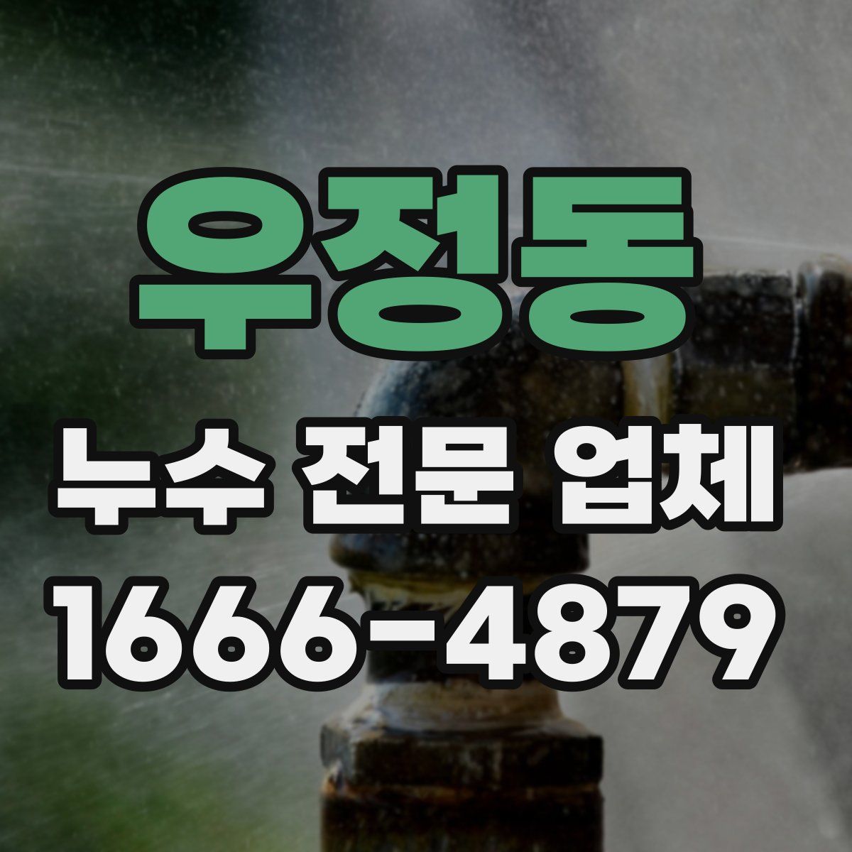 우정동 누수 전문 업체