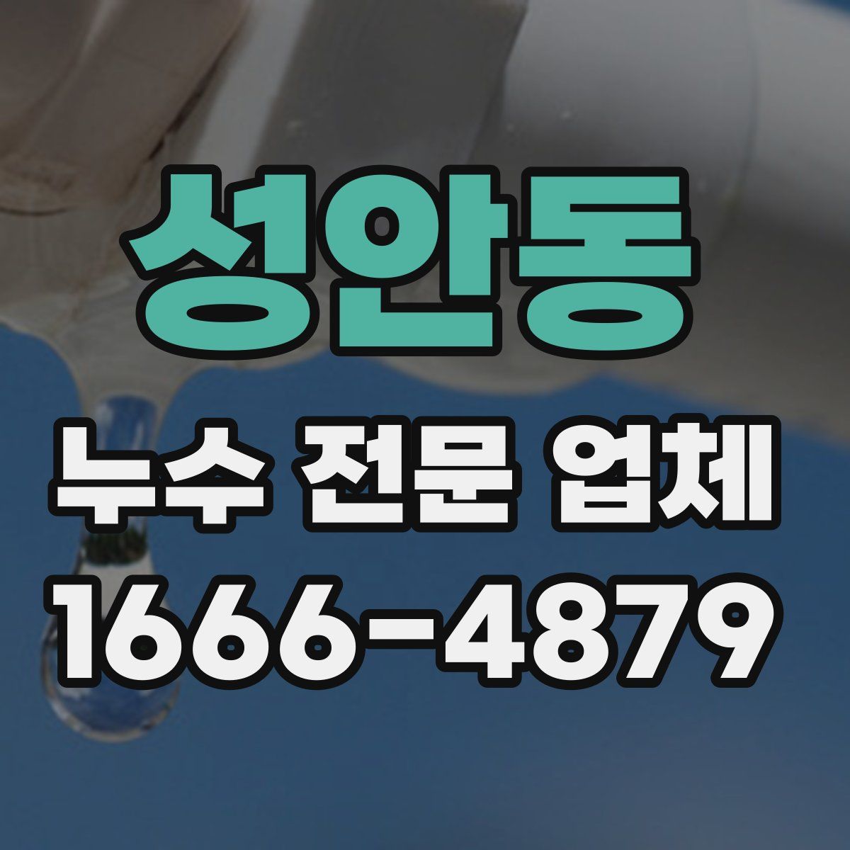 성안동 누수 전문 업체