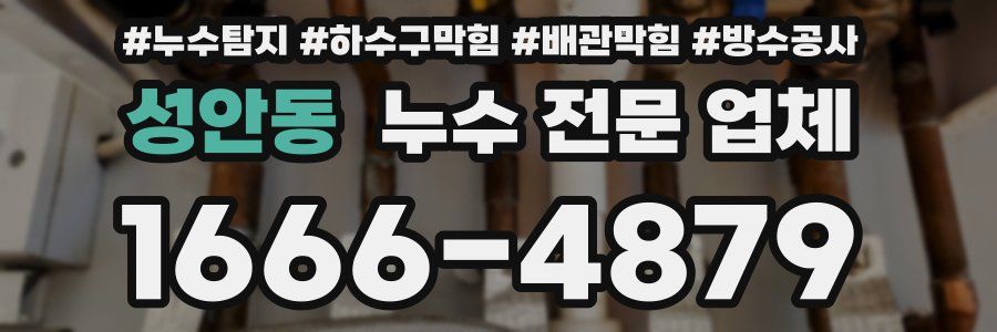 성안동 누수 전문 업체