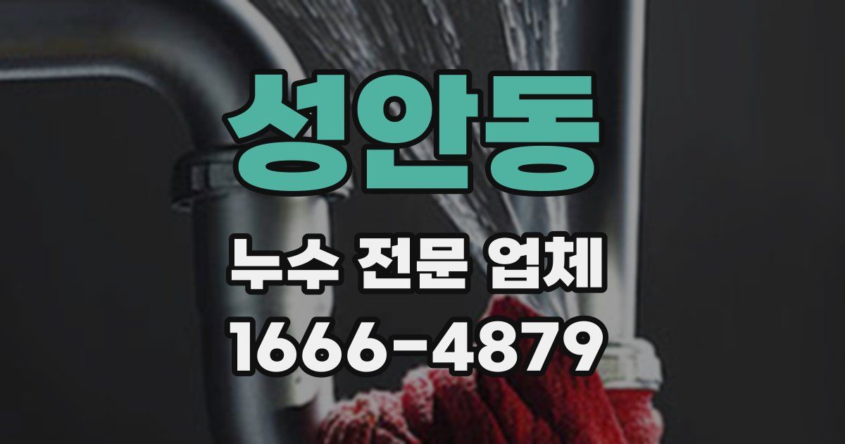 성안동 누수 전문 업체
