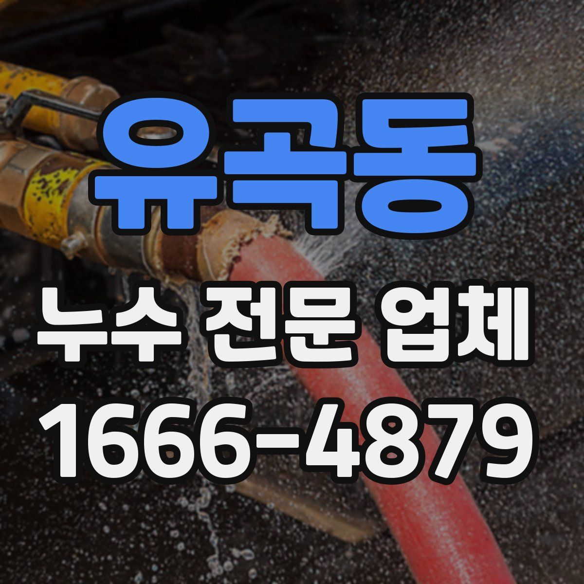 유곡동 누수 전문 업체