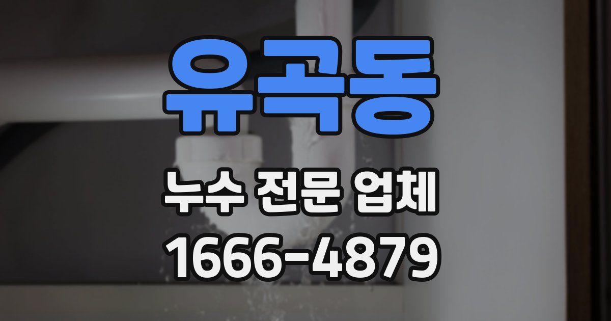 유곡동 누수 전문 업체