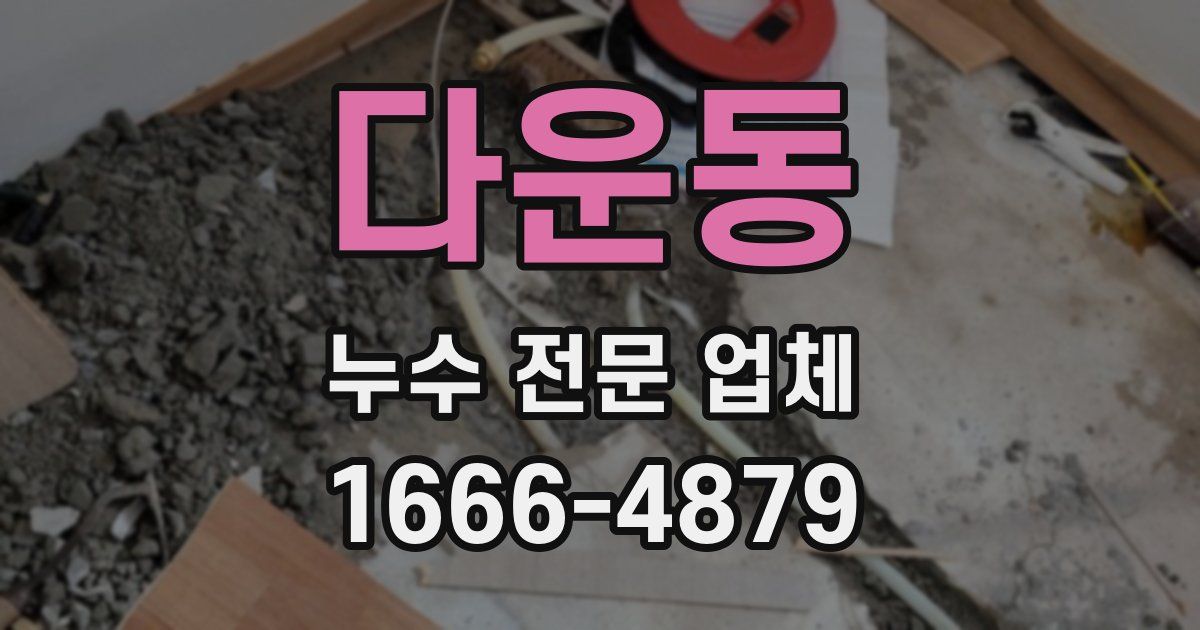 다운동 누수 전문 업체