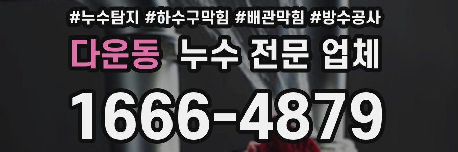 다운동 누수 전문 업체