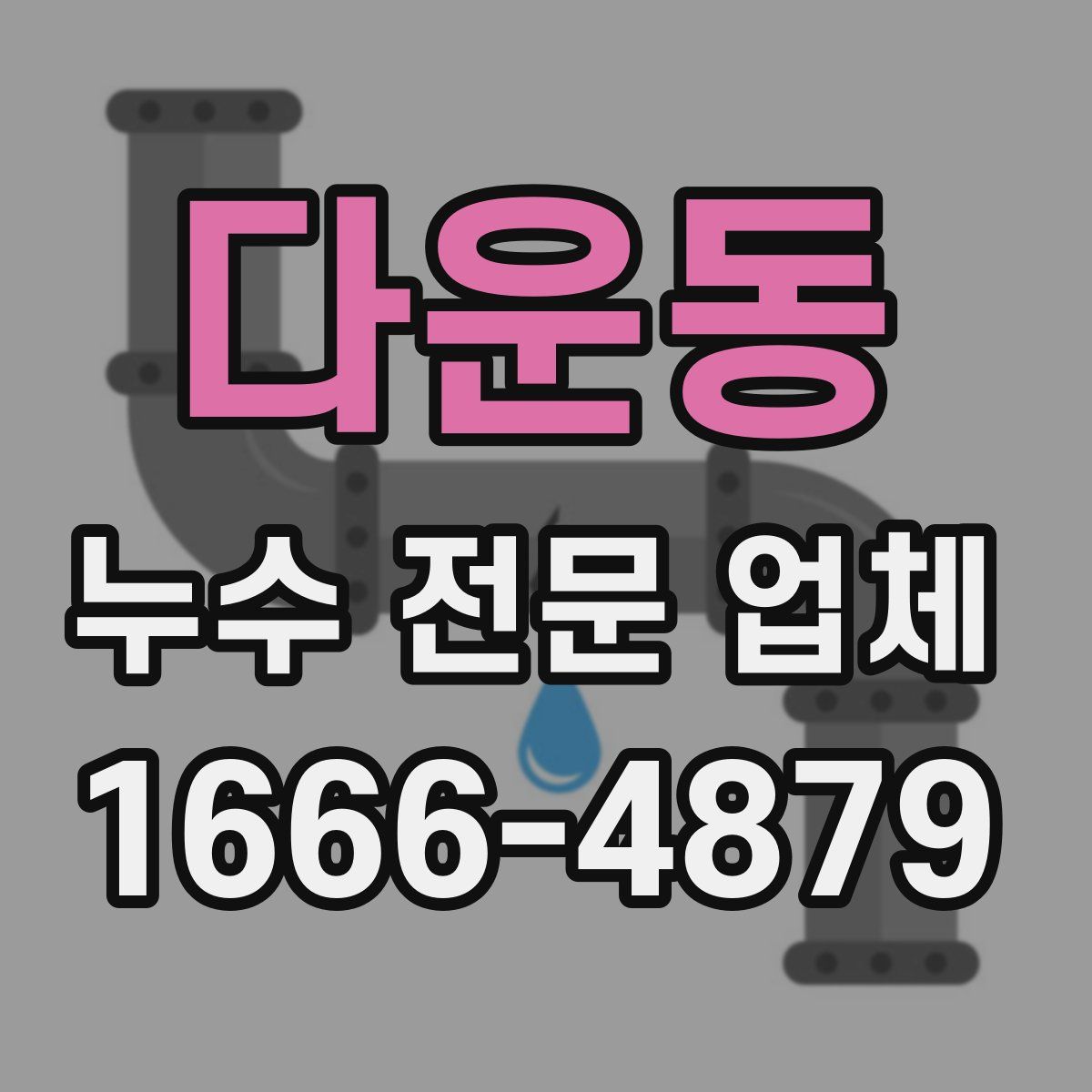 다운동 누수 전문 업체