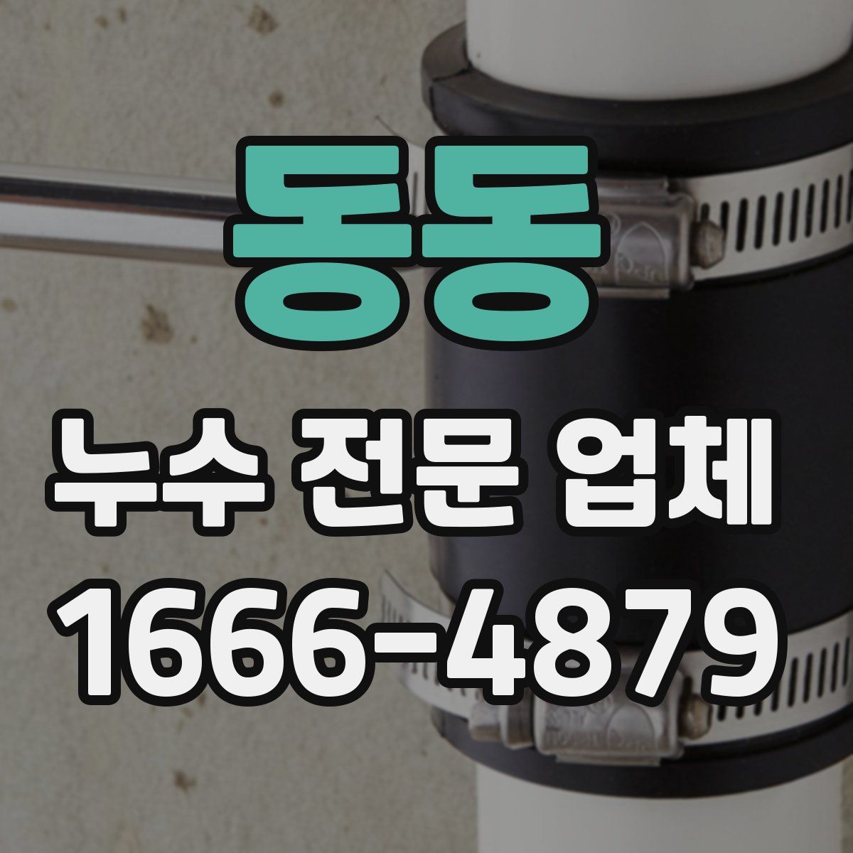 동동 누수 전문 업체