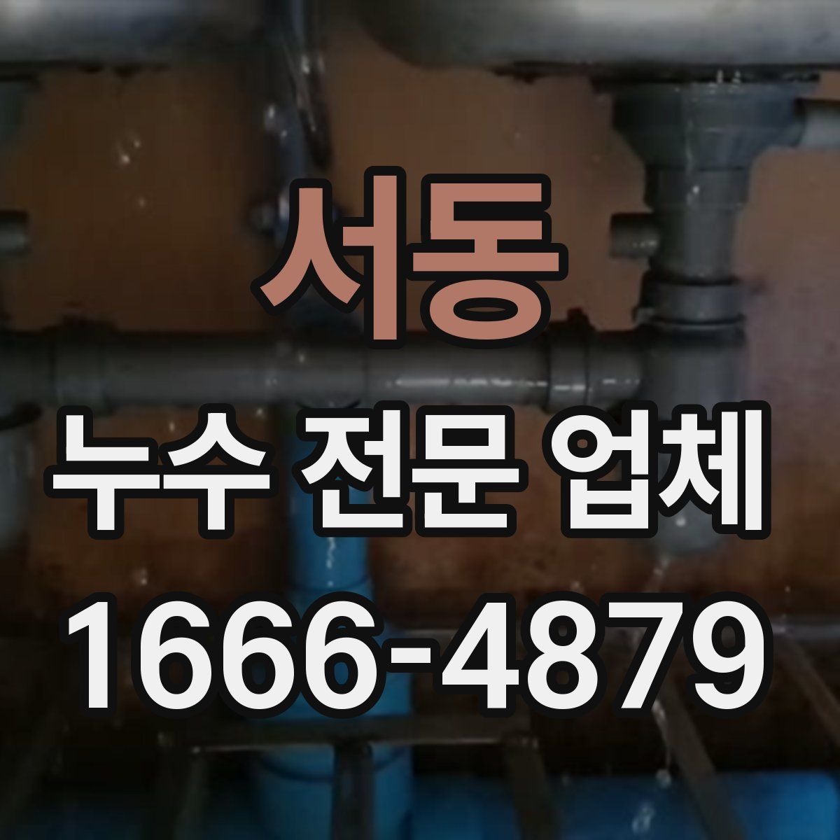 서동 누수 전문 업체