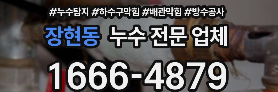 장현동 누수 전문 업체