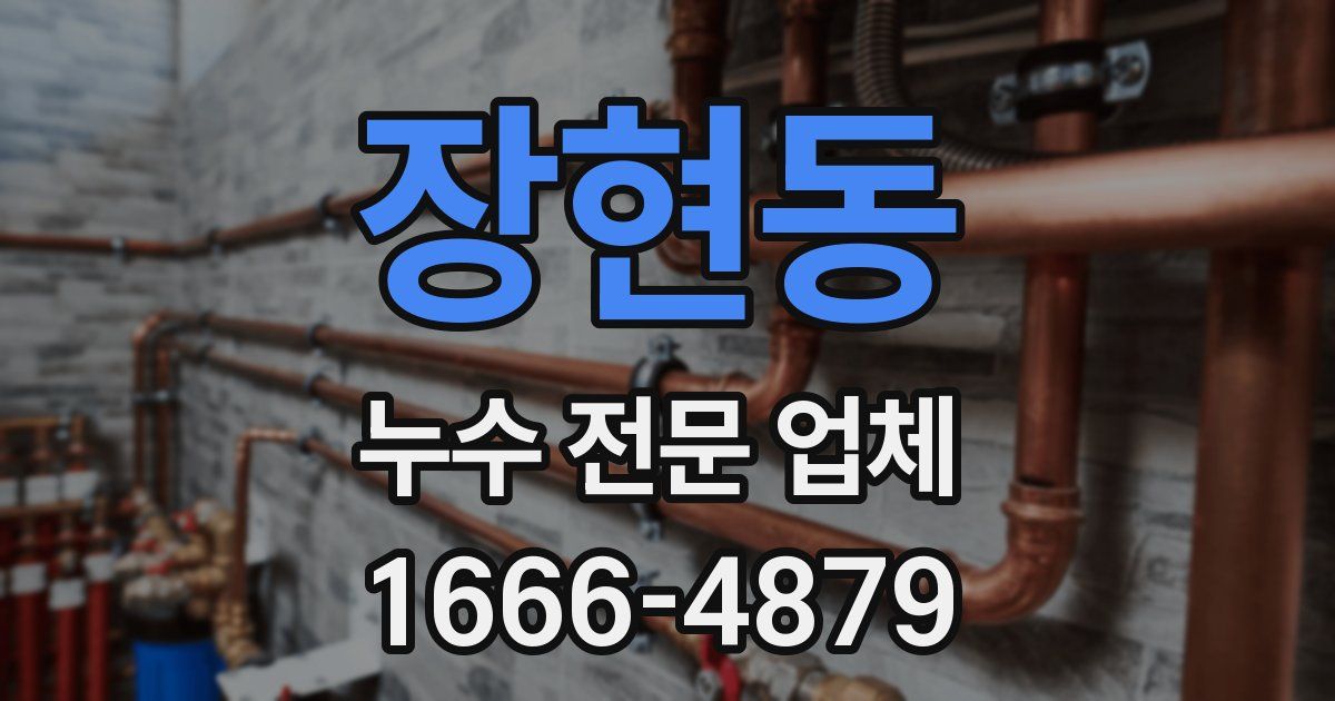 장현동 누수 전문 업체