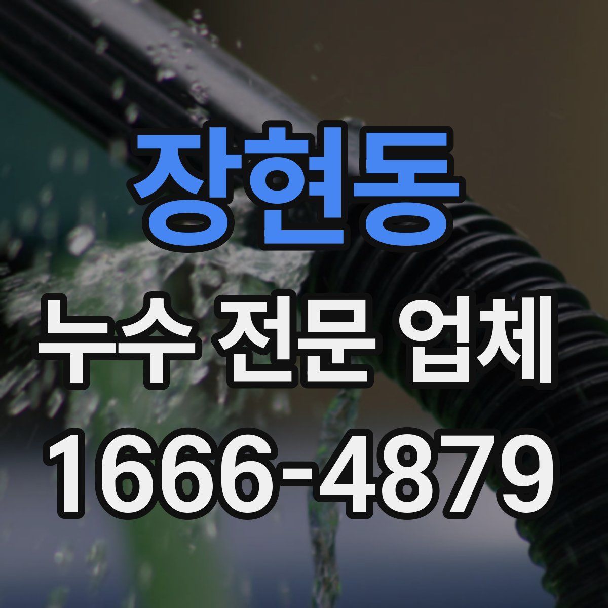 장현동 누수 전문 업체