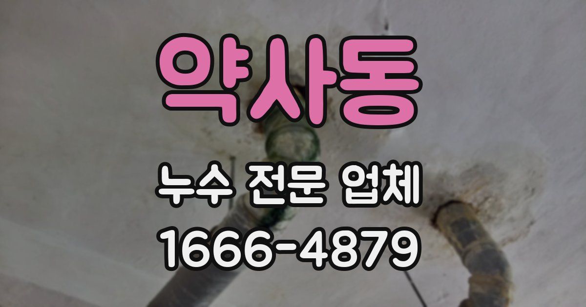약사동 누수 전문 업체