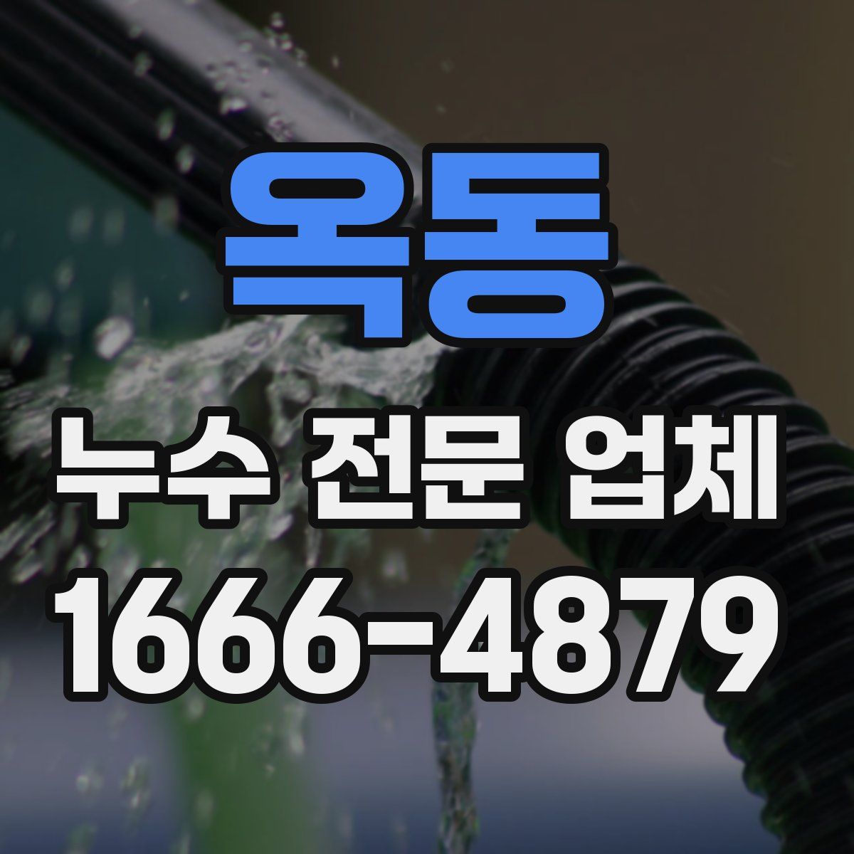 옥동 누수 전문 업체