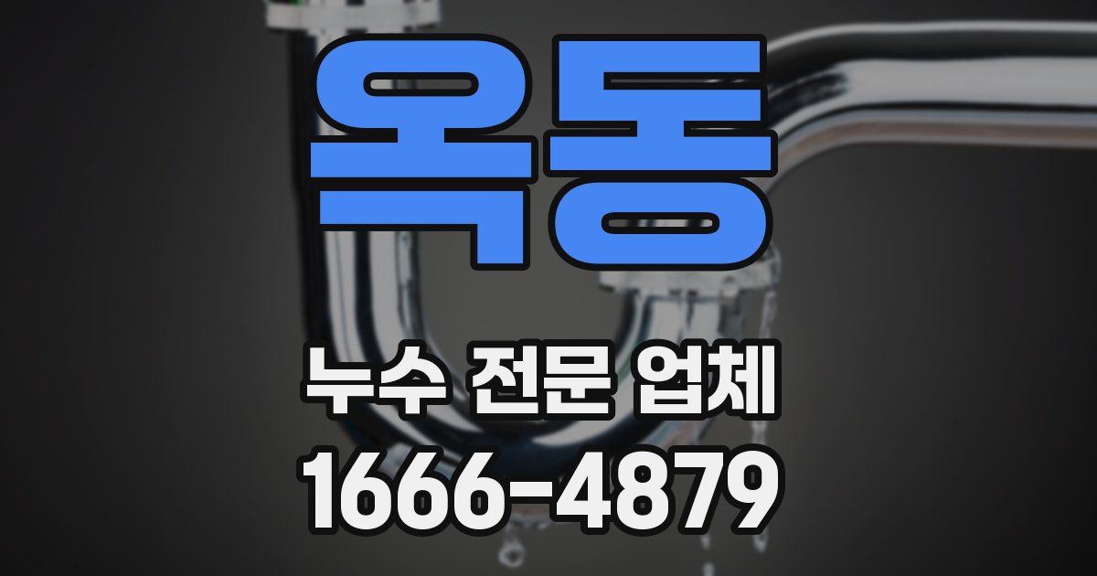 옥동 누수 전문 업체