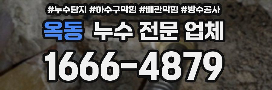 옥동 누수 전문 업체