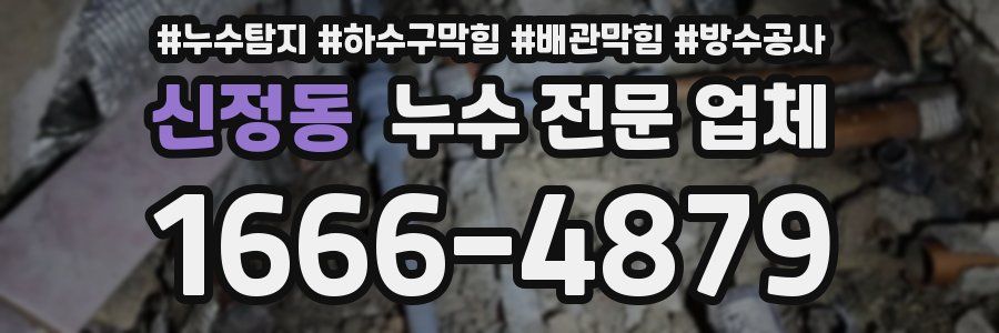 신정동 누수 전문 업체