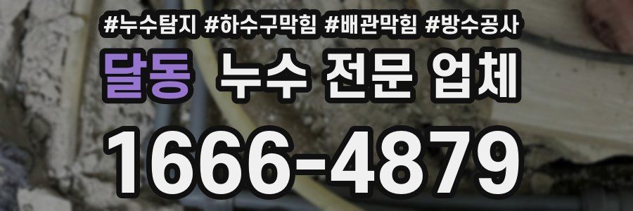 달동 누수 전문 업체