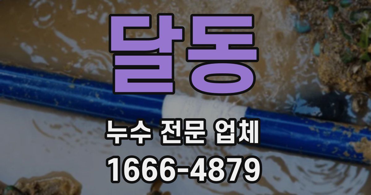달동 누수 전문 업체