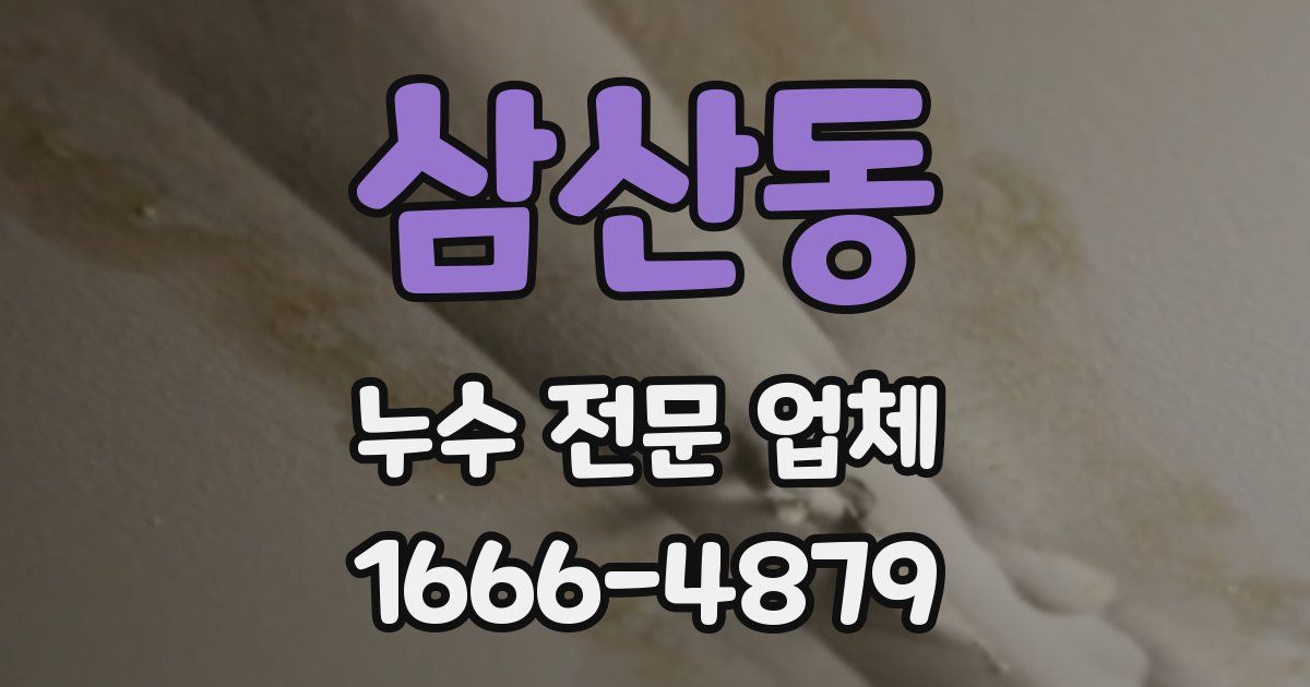 삼산동 누수 전문 업체