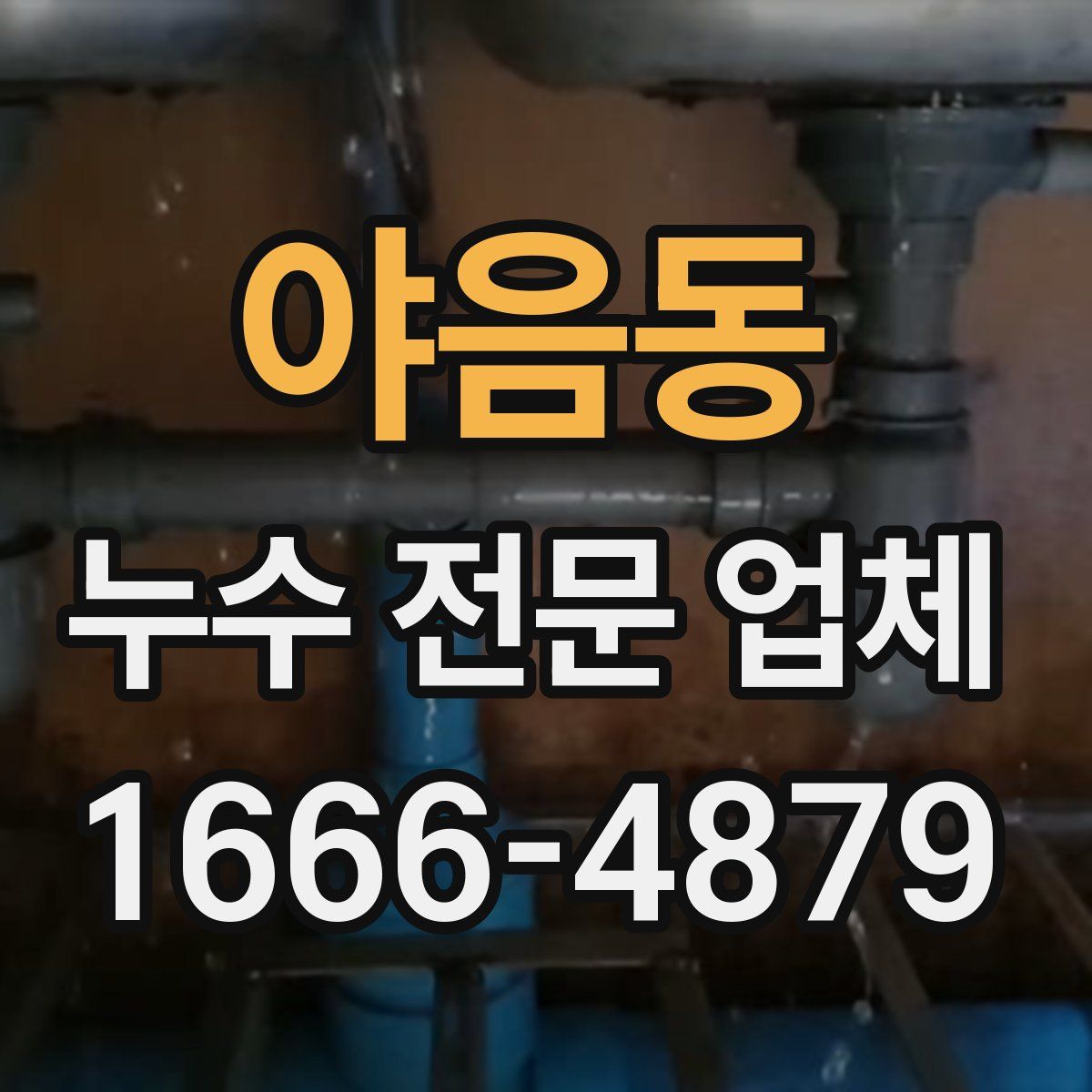 야음동 누수 전문 업체
