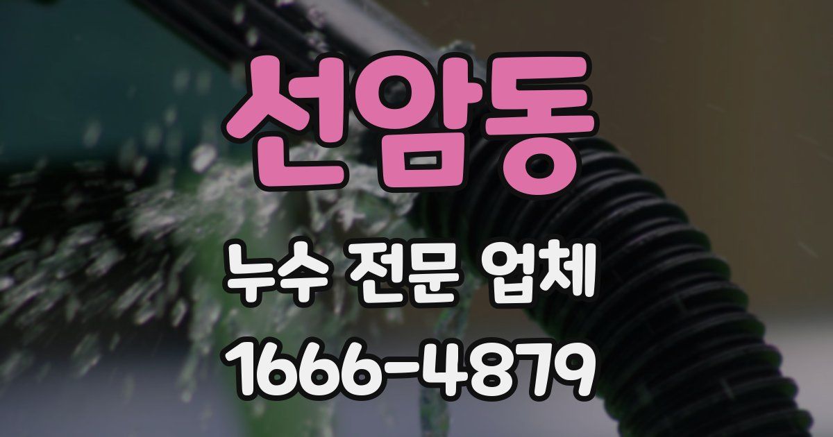 선암동 누수 전문 업체