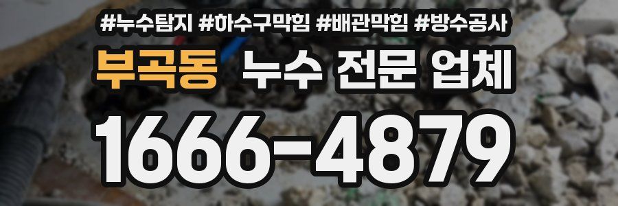 부곡동 누수 전문 업체