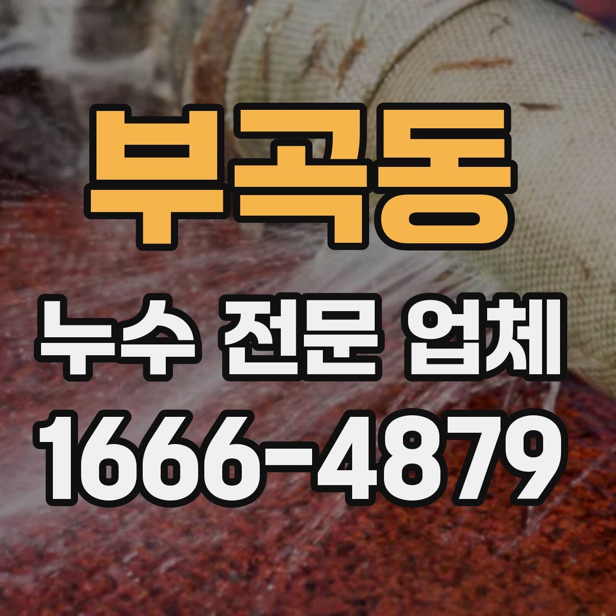 부곡동 누수 전문 업체