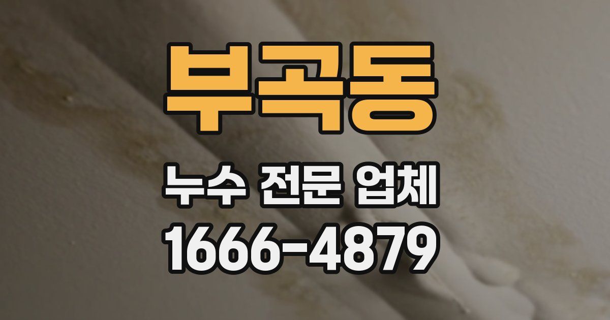 부곡동 누수 전문 업체
