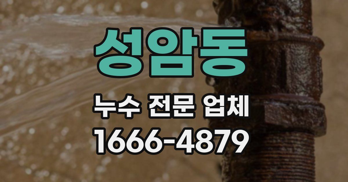 성암동 누수 전문 업체