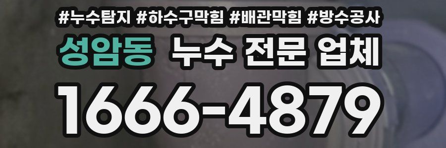 성암동 누수 전문 업체
