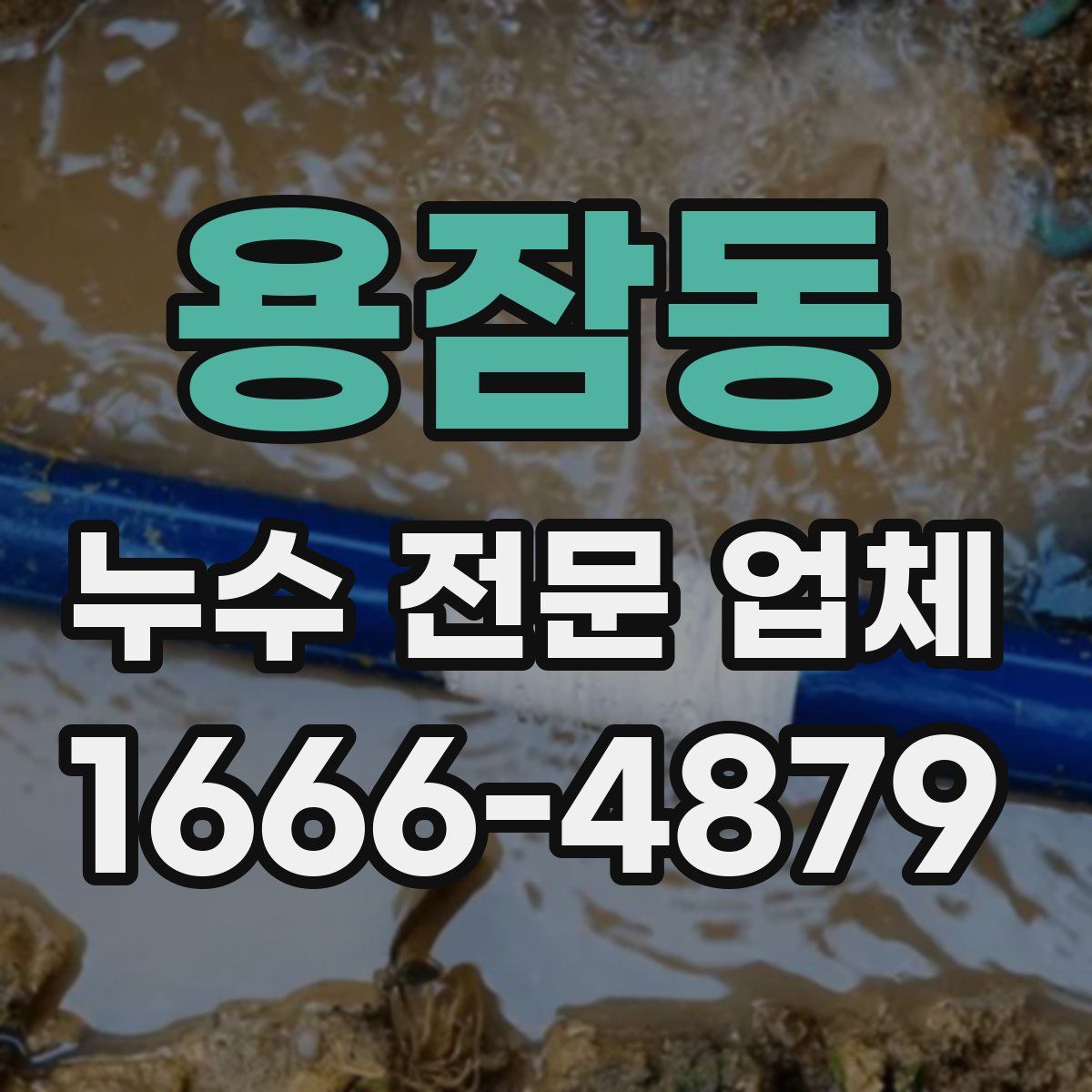용잠동 누수 전문 업체
